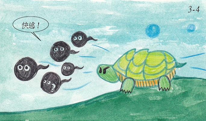 story-3-4-the-angry-turtle-684x400